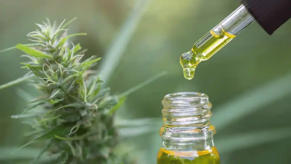 cbd olej fullspectrum 10%