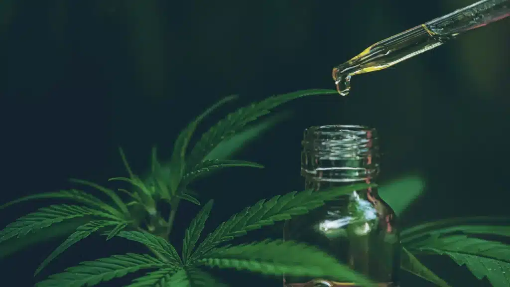 cbd olej fullspectrum 10%