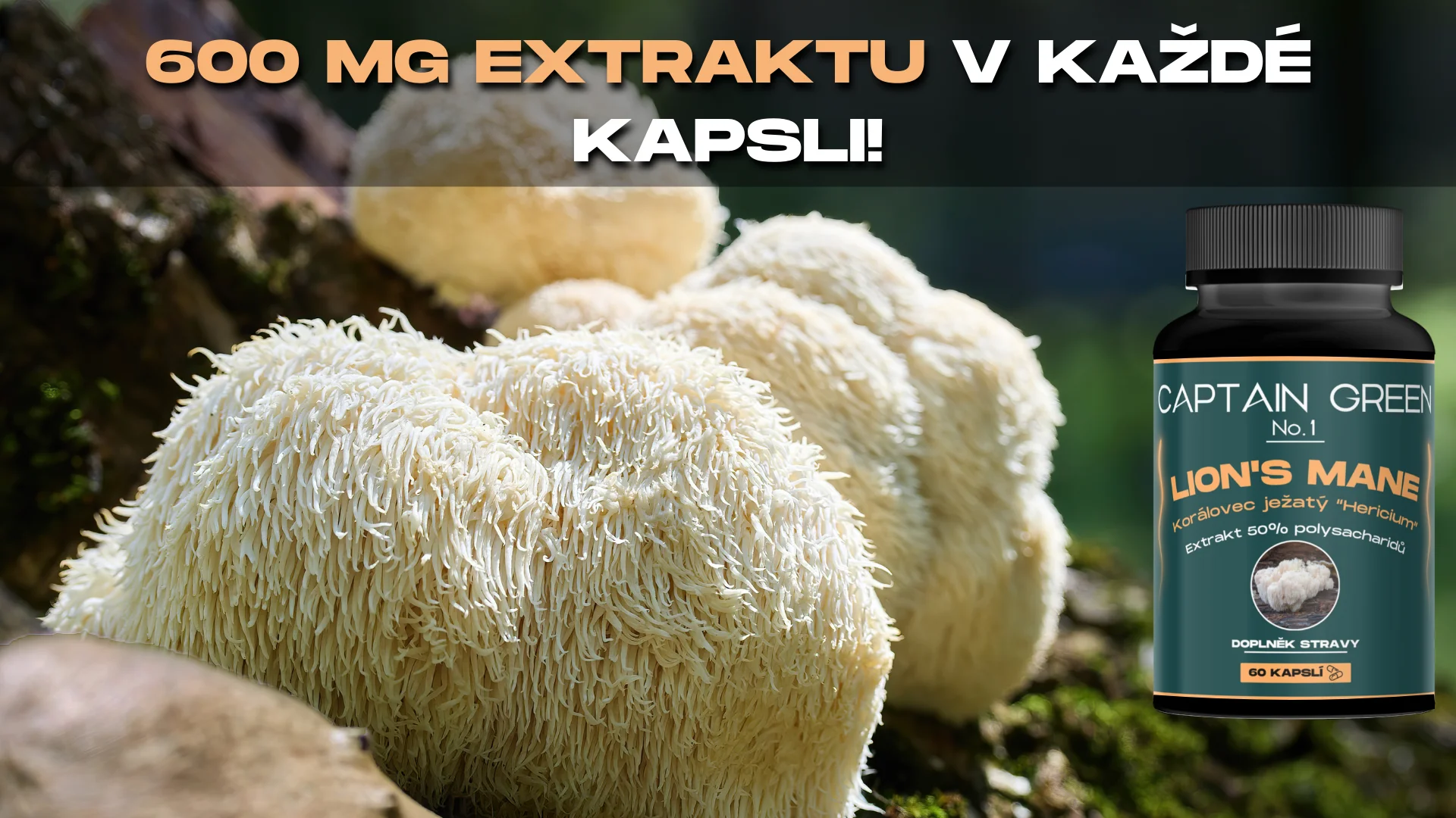 PRO Lion's Mane - Korálovec Ježatý (Hericium)