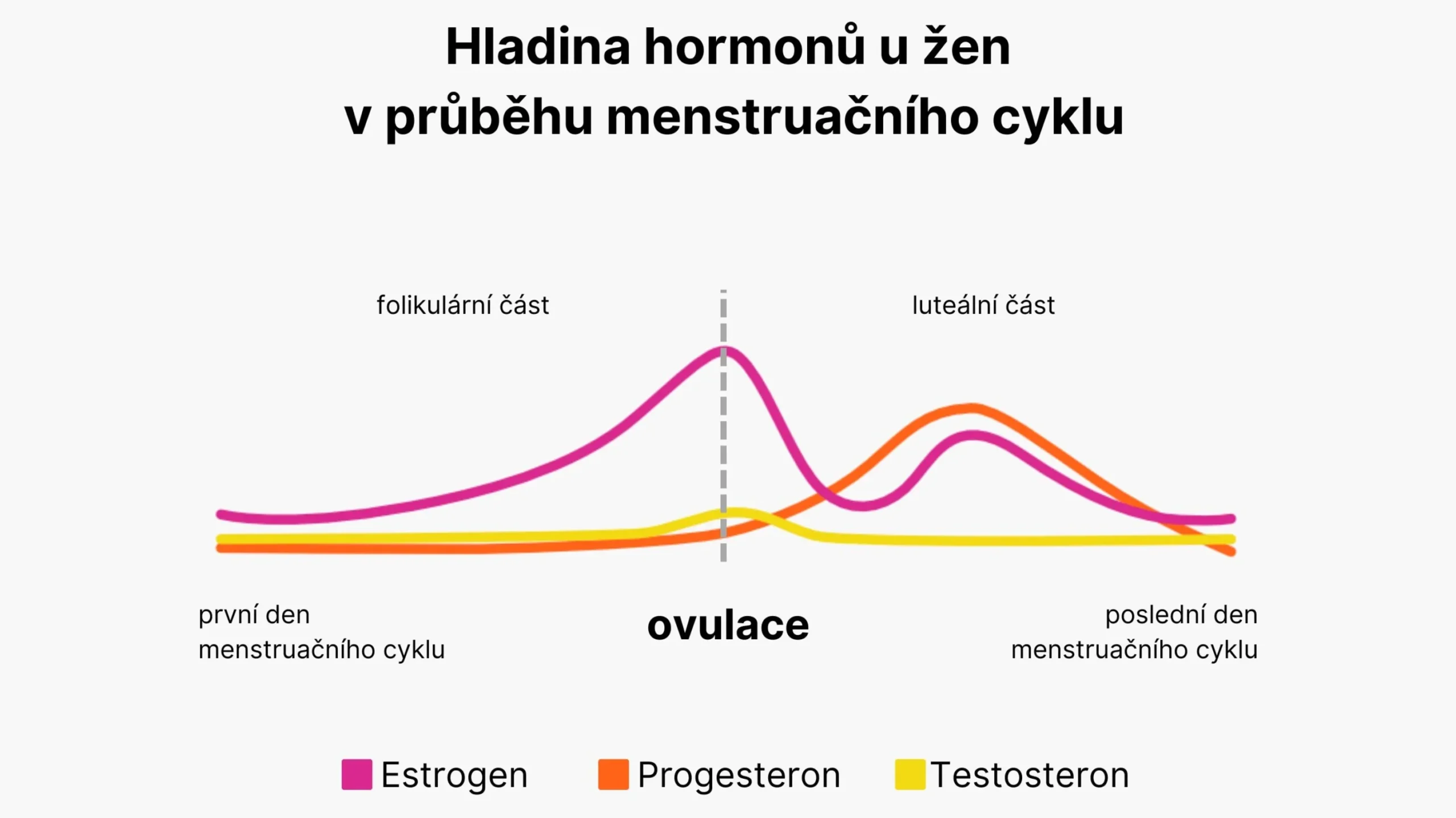 be lady hormonalni rovnovaha