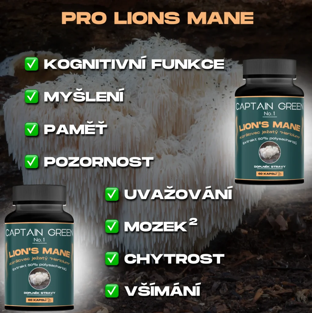 PRO Lion's Mane - Korálovec Ježatý (Hericium)