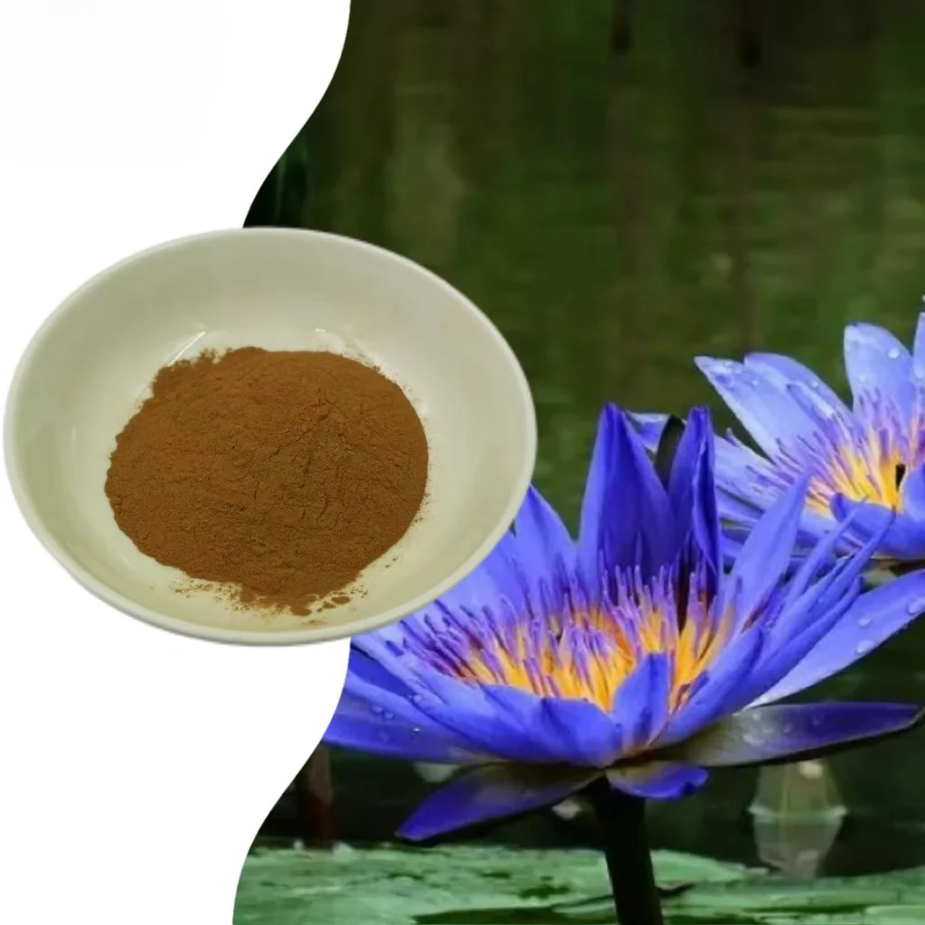 Blue Lotus Extract Nymphaea Caerulea 50-1, Modrý leknín extrakt 50-1