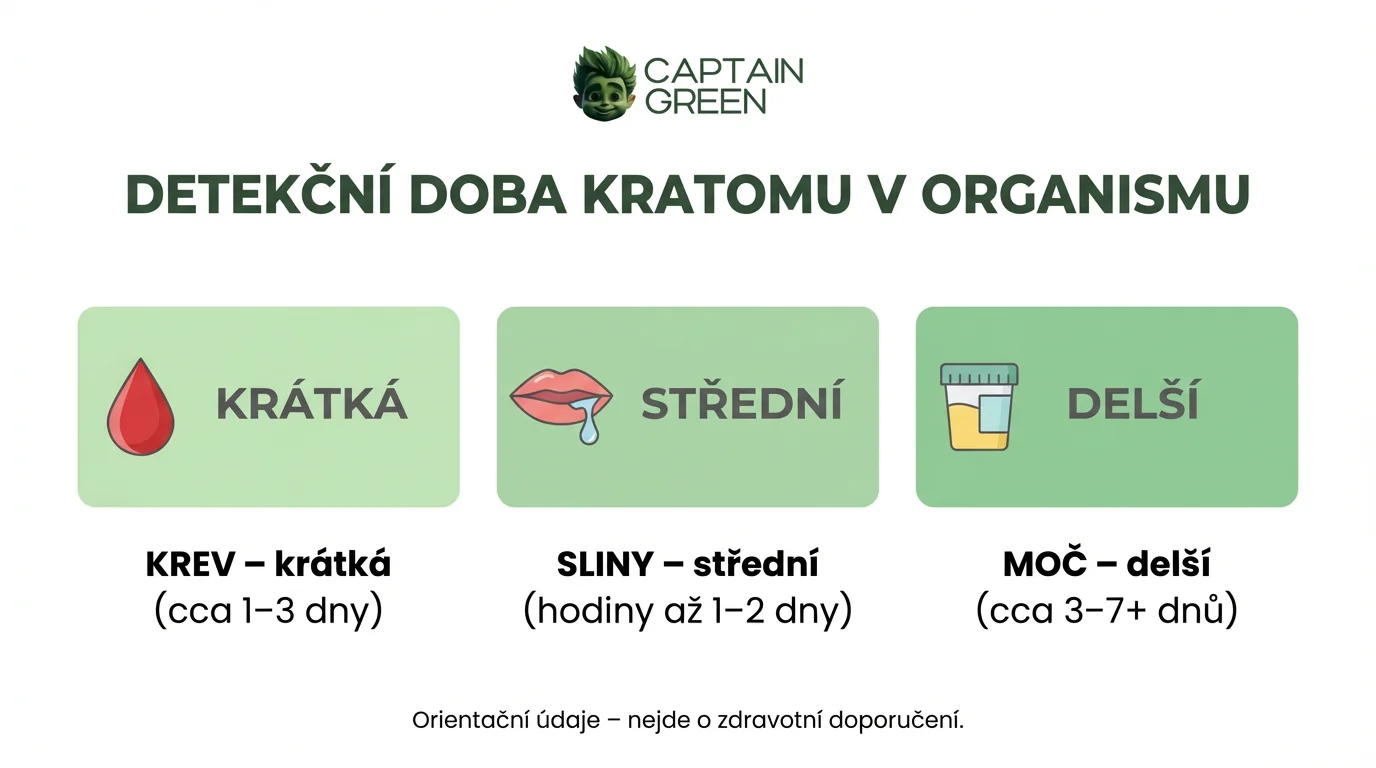 Infografika Captain Green srovnávající detekční dobu kratomu v krvi, moči a slinách