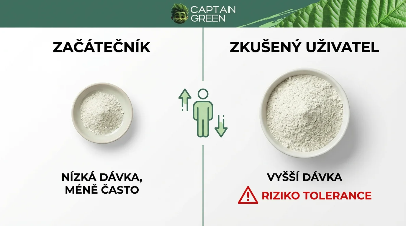 Infografika porovnávající malé dávky bílého kratomu pro začátečníky a vyšší dávky pro zkušené uživatele