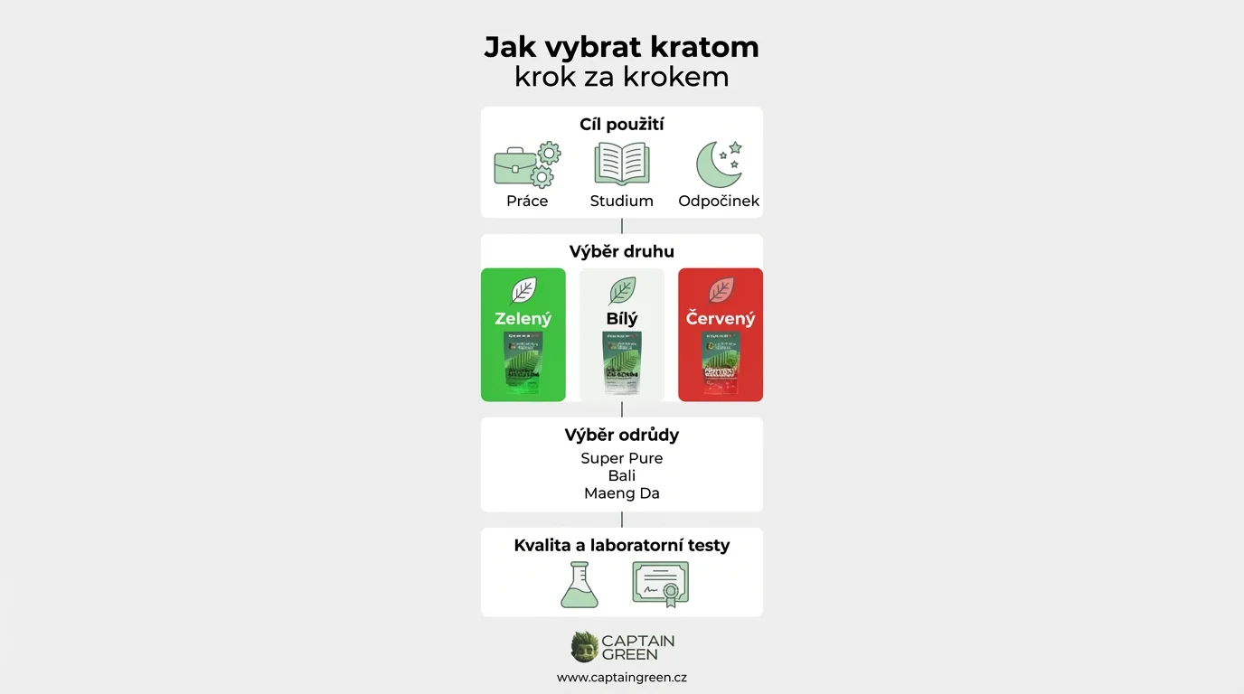 Infografika ukazující postup jak vybrat kratom podle cíle, druhu, odrůdy a kvality