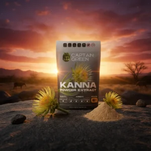 Kanna Extrakt 40-1, 100% Pure (Sceletium Tortuosum)