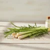 Kratom kapky 10ml - Fullspectrum 750mg Lemon Grass Rosemary