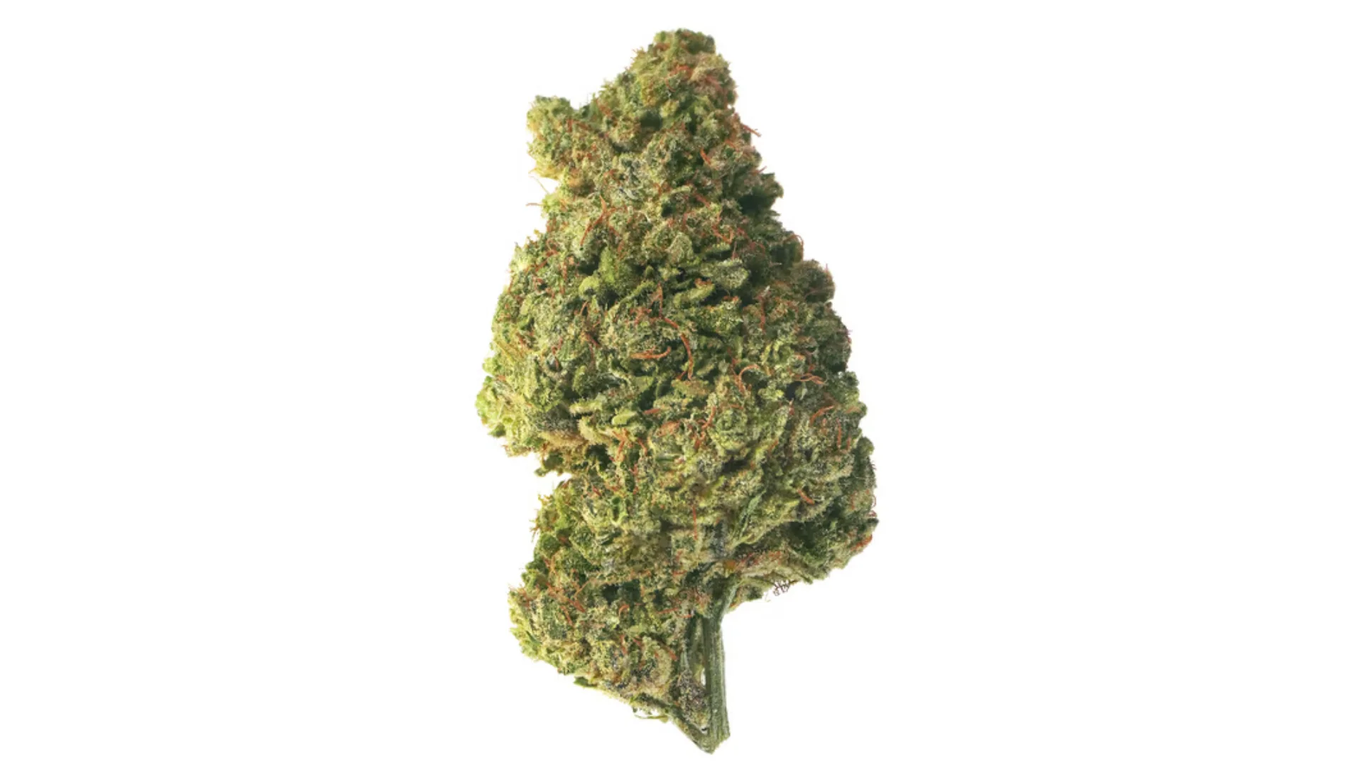 cbd kvety banana kush