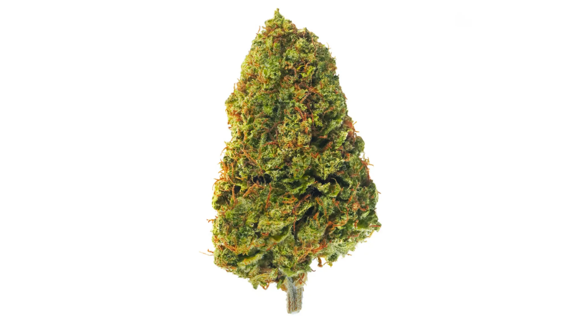 cbd kvety banana kush