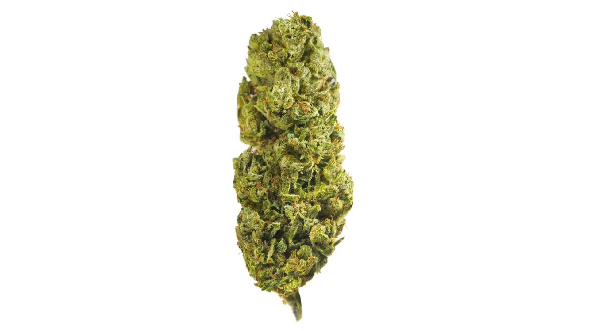 cbd kvety tutti frutti