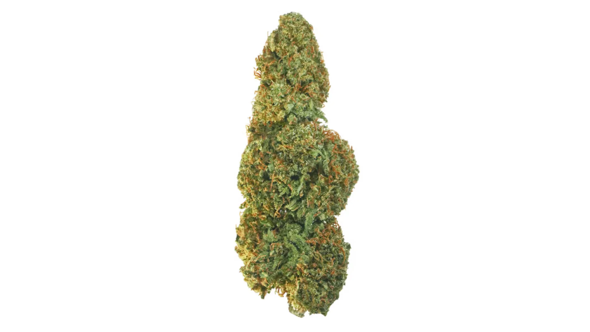 cbd kvety tutti frutti