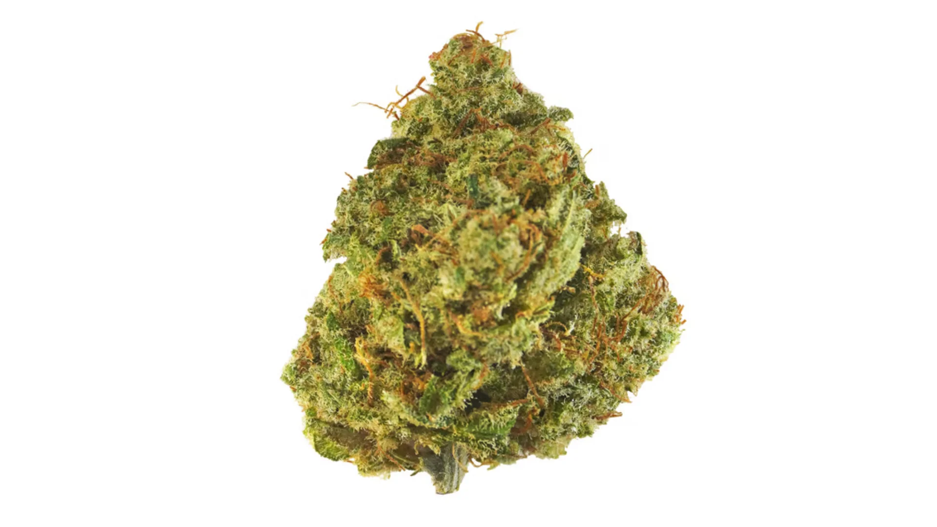 cbd kvety tutti frutti