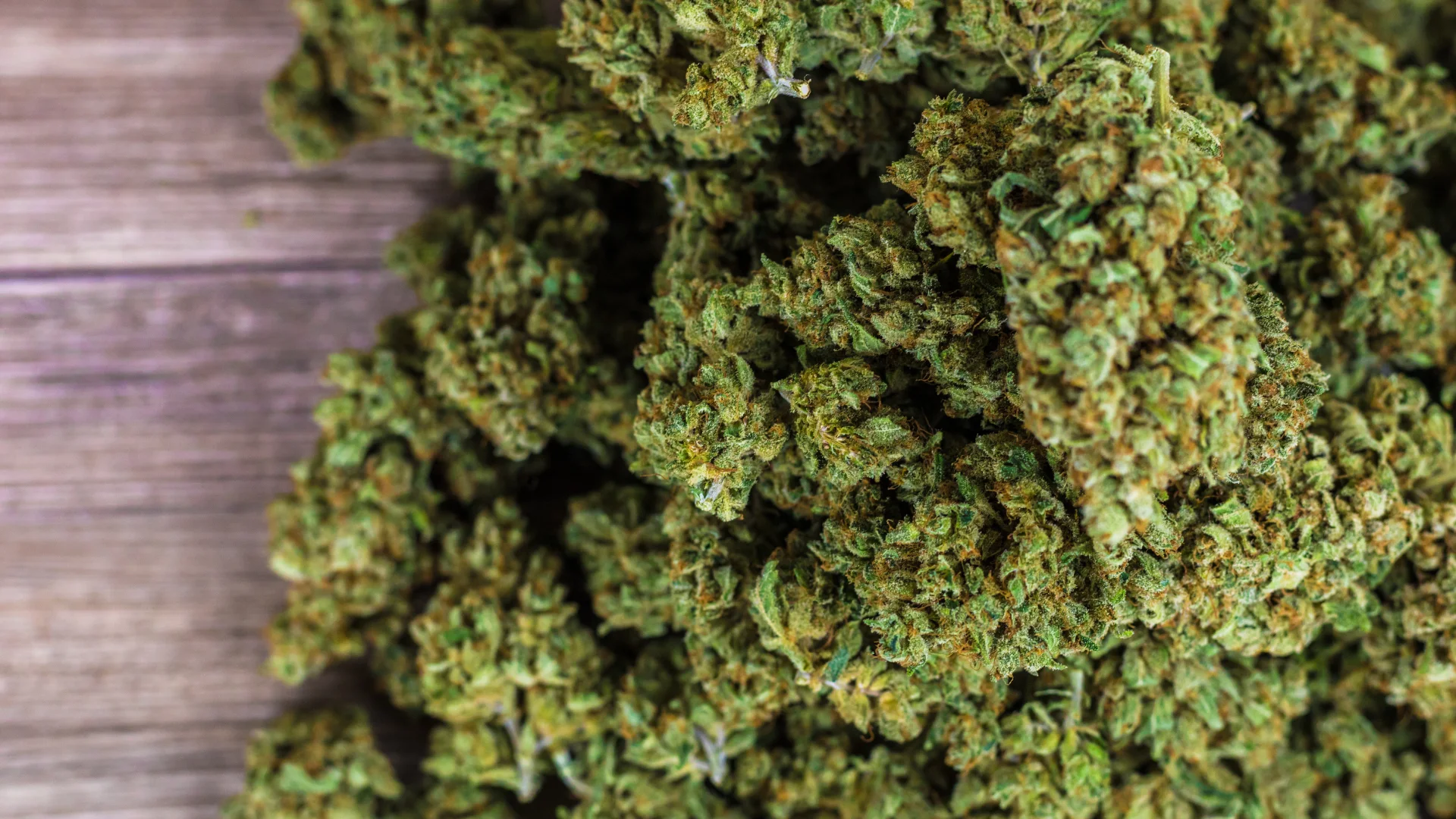 cbd kvety zushi palicky
