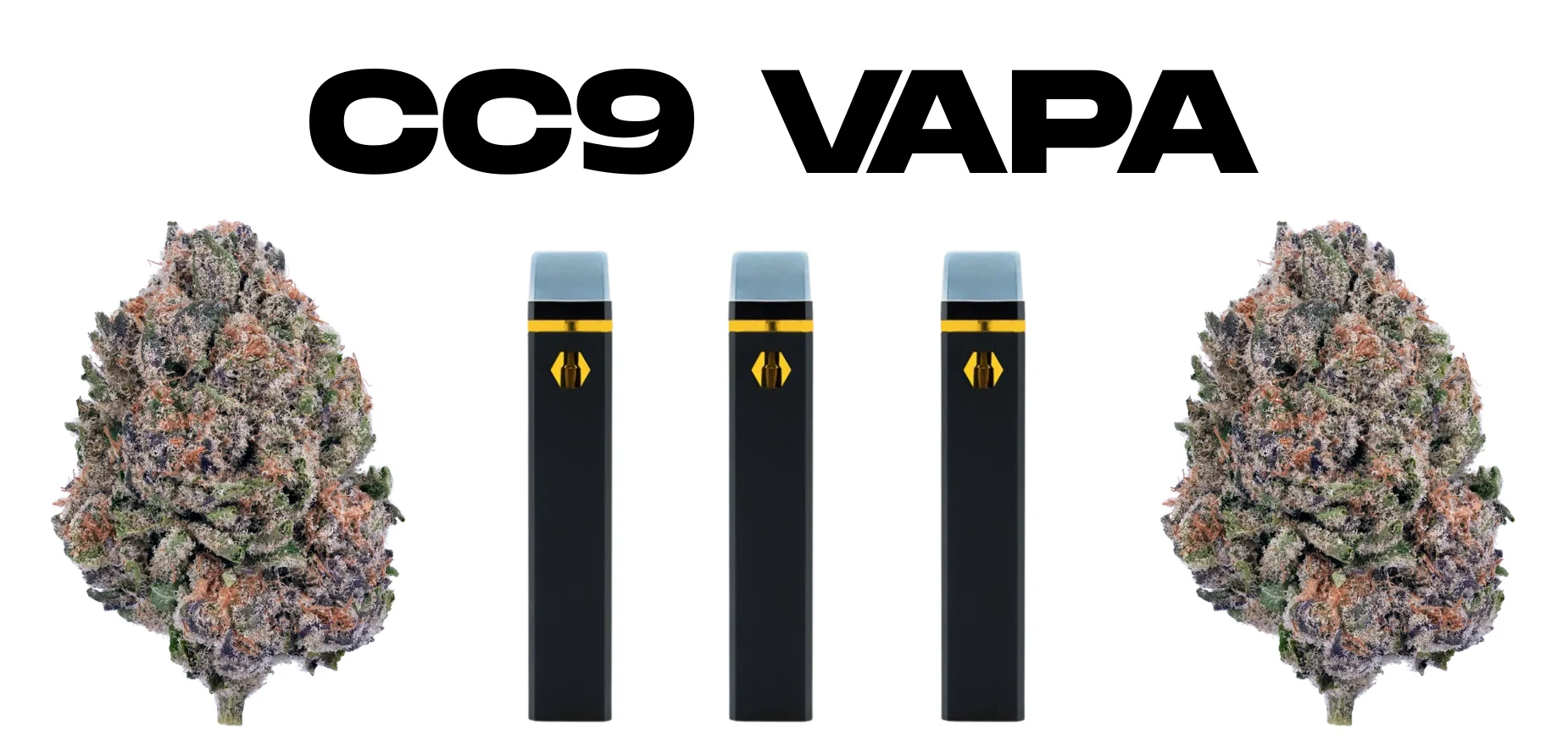 cc9 vapa