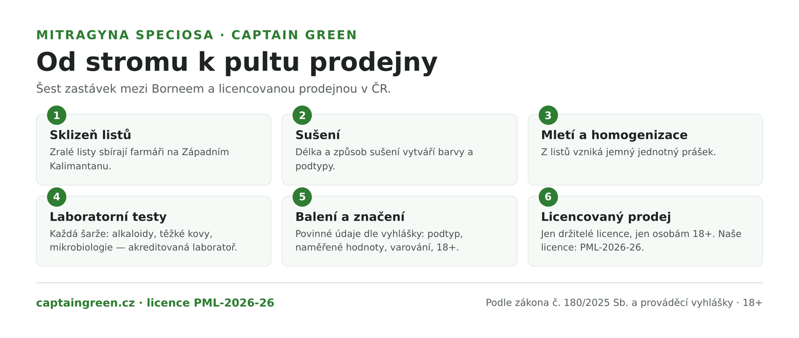 Infografika Cesta kratomu od stromu Mitragyna speciosa k regulovanému produktu v ČR — sklizeň listů na Kalimantanu, sušení a vznik podtypů, mletí, laboratorní testy šarže v akreditované laboratoři, balení s povinnými údaji a licencovaný prodej 18+
