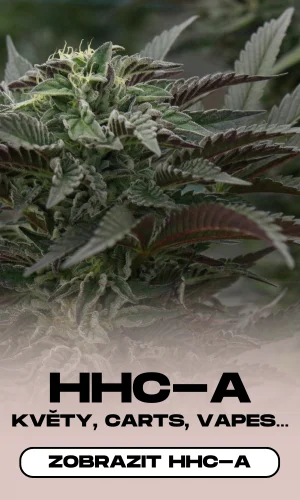 hhca