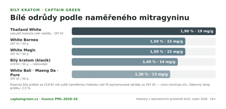 Infografika Bílé odrůdy kratomu podle naměřeného mitragyninu — Thailand White 1,90 %, White Borneo a White Magic 1,50 %, klasický Bílý kratom 1,40 %, White Bali, White Maeng Da a White Pure 1,30 %