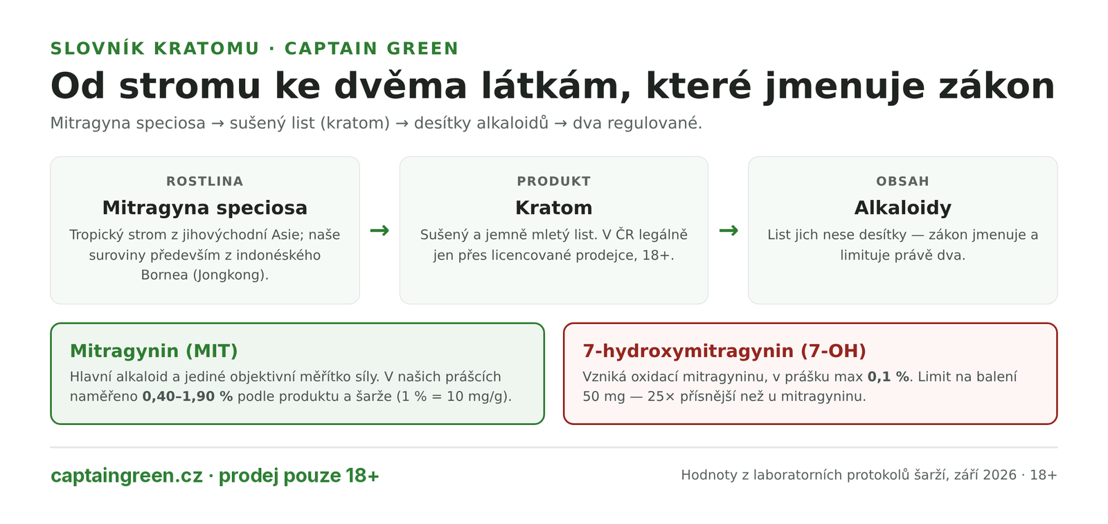 Infografika Od rostliny Mitragyna speciosa k účinným látkám — list kratomu obsahuje desítky alkaloidů, zákon jmenuje mitragynin s rozsahem 0,40 až 1,90 % v našich prášcích a 7-hydroxymitragynin do 0,1 % Infografika Od rostliny Mitragyna speciosa k účinným látkám — list kratomu obsahuje desítky alkaloidů, zákon jmenuje mitragynin s rozsahem 0,40 až 1,90 % v našich prášcích a 7-hydroxymitragynin do 0,1 %