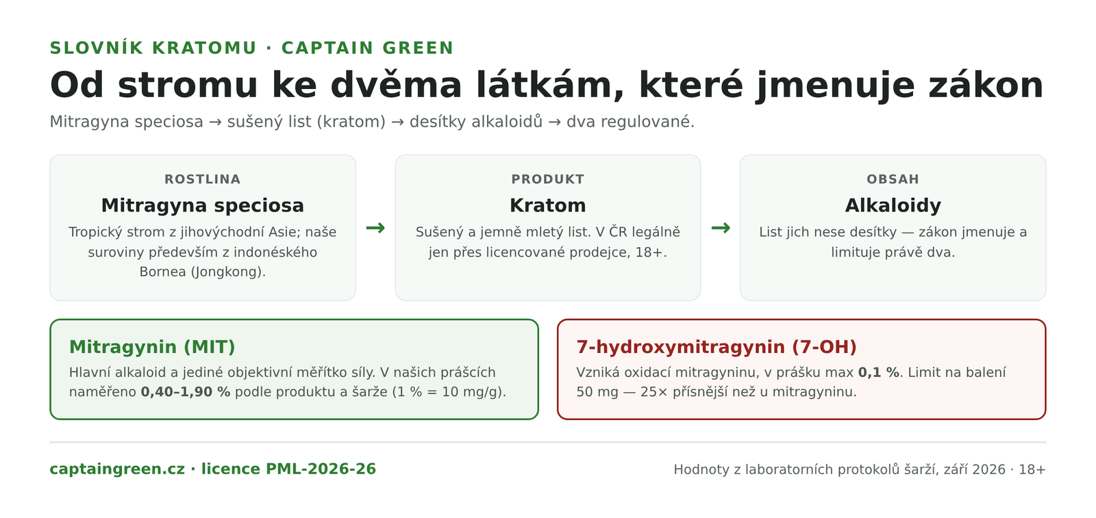 Infografika Od rostliny Mitragyna speciosa k účinným látkám — list kratomu obsahuje desítky alkaloidů, zákon jmenuje mitragynin s rozsahem 0,40 až 1,90 % v našich prášcích a 7-hydroxymitragynin do 0,1 %