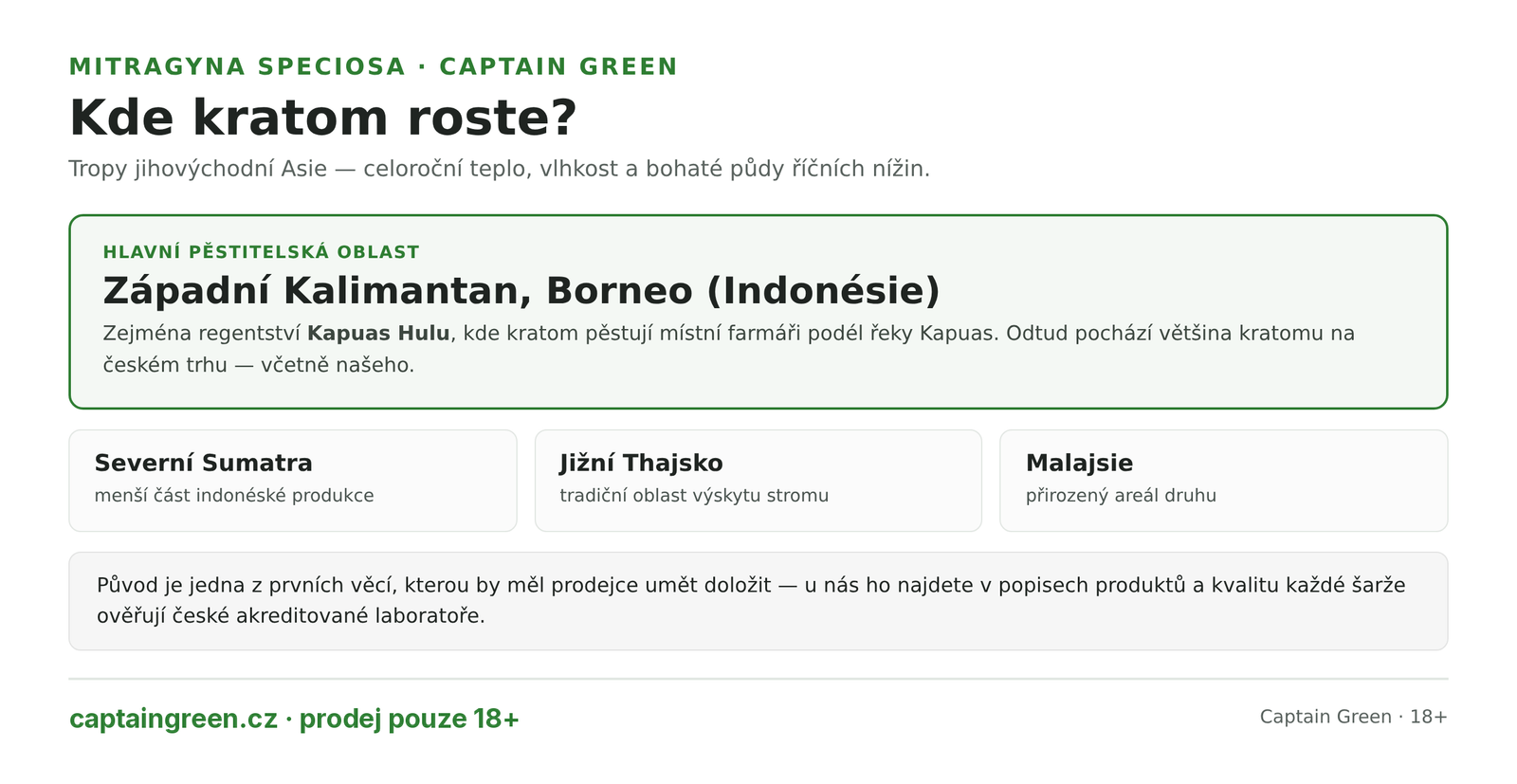 Infografika Kde roste Mitragyna speciosa — hlavní oblast Západní Kalimantan a regentství Kapuas Hulu na Borneu v Indonésii, dále Severní Sumatra, jižní Thajsko a Malajsie, tropické klima s celoroční vlhkostí Infografika Kde roste Mitragyna speciosa — hlavní oblast Západní Kalimantan a regentství Kapuas Hulu na Borneu v Indonésii, dále Severní Sumatra, jižní Thajsko a Malajsie, tropické klima s celoroční vlhkostí