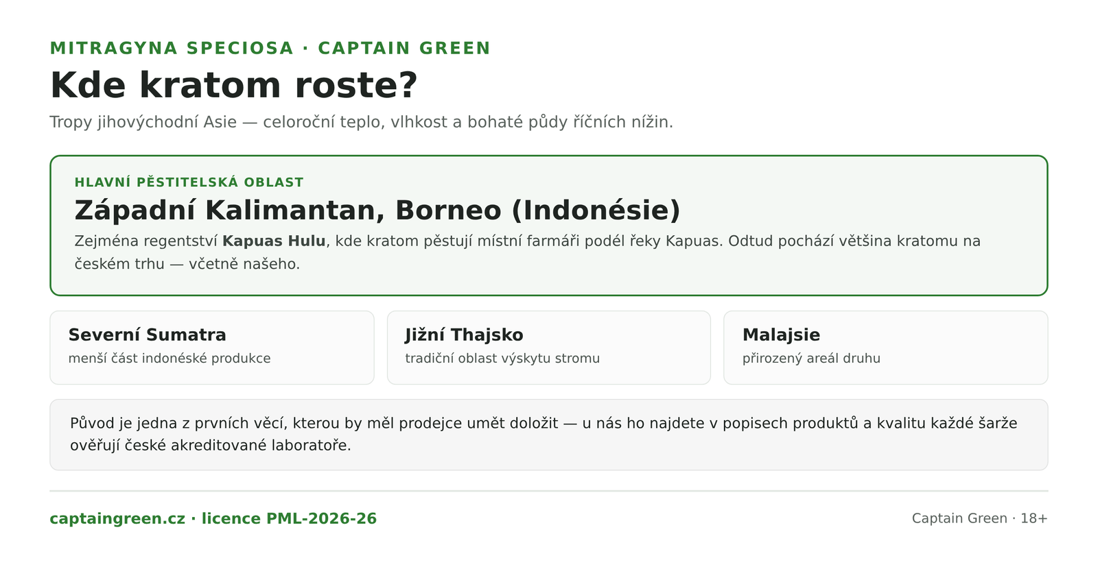 Infografika Kde roste Mitragyna speciosa — hlavní oblast Západní Kalimantan a regentství Kapuas Hulu na Borneu v Indonésii, dále Severní Sumatra, jižní Thajsko a Malajsie, tropické klima s celoroční vlhkostí