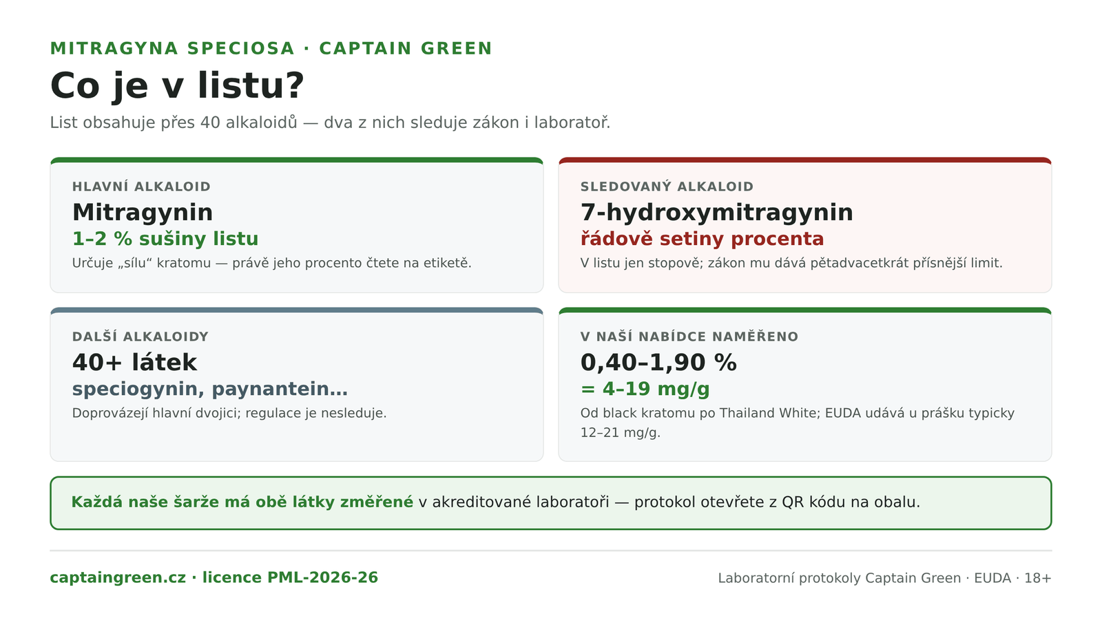 Infografika List Mitragyna speciosa a jeho alkaloidy — přes 40 alkaloidů, hlavní mitragynin 1 až 2 procenta sušiny listu, 7-hydroxymitragynin řádově setiny procenta, naměřené hodnoty prášků Captain Green 0,40 až 1,90 % mitragyninu