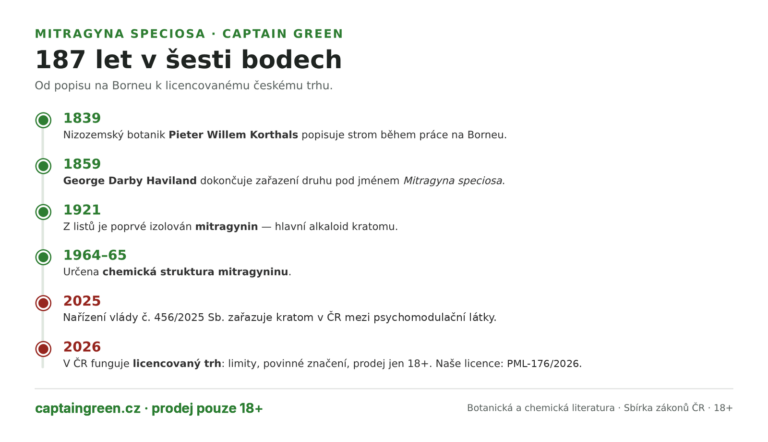 Infografika Časová osa stromu Mitragyna speciosa — 1839 popis Pieterem Korthalsem na Borneu, 1859 druhové jméno od George Havilanda, 1921 izolace mitragyninu, 1964 až 1965 určení struktury, 2025 vyhláška č. 448/2025 Sb., 2026 licencovaný prodej kratomu v ČR