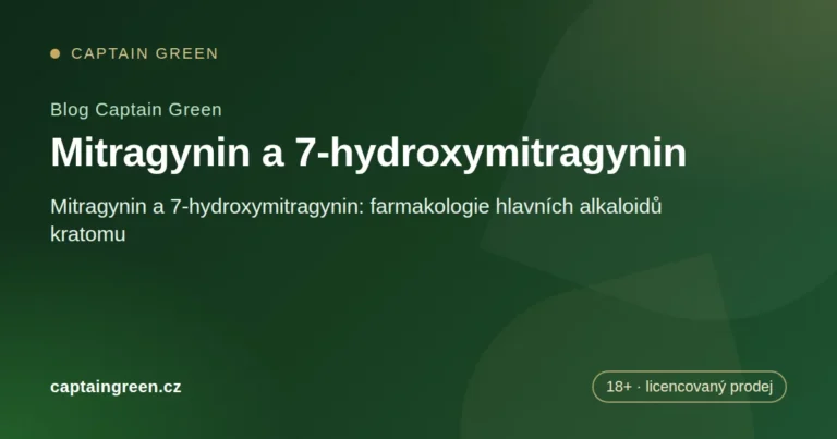 Úvodní obrázek článku: Mitragynin a 7-hydroxymitragynin: farmakologie hlavních alkaloidů kratomu Úvodní obrázek článku: Mitragynin a 7-hydroxymitragynin: farmakologie hlavních alkaloidů kratomu