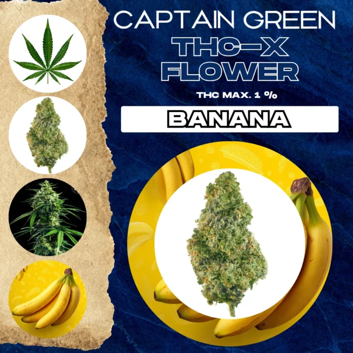 thcx-kvety-banan