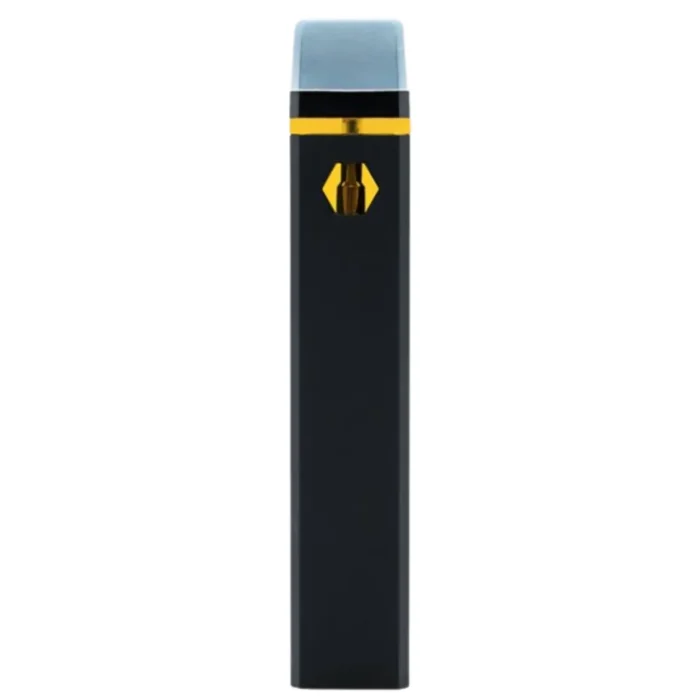 vaporizer