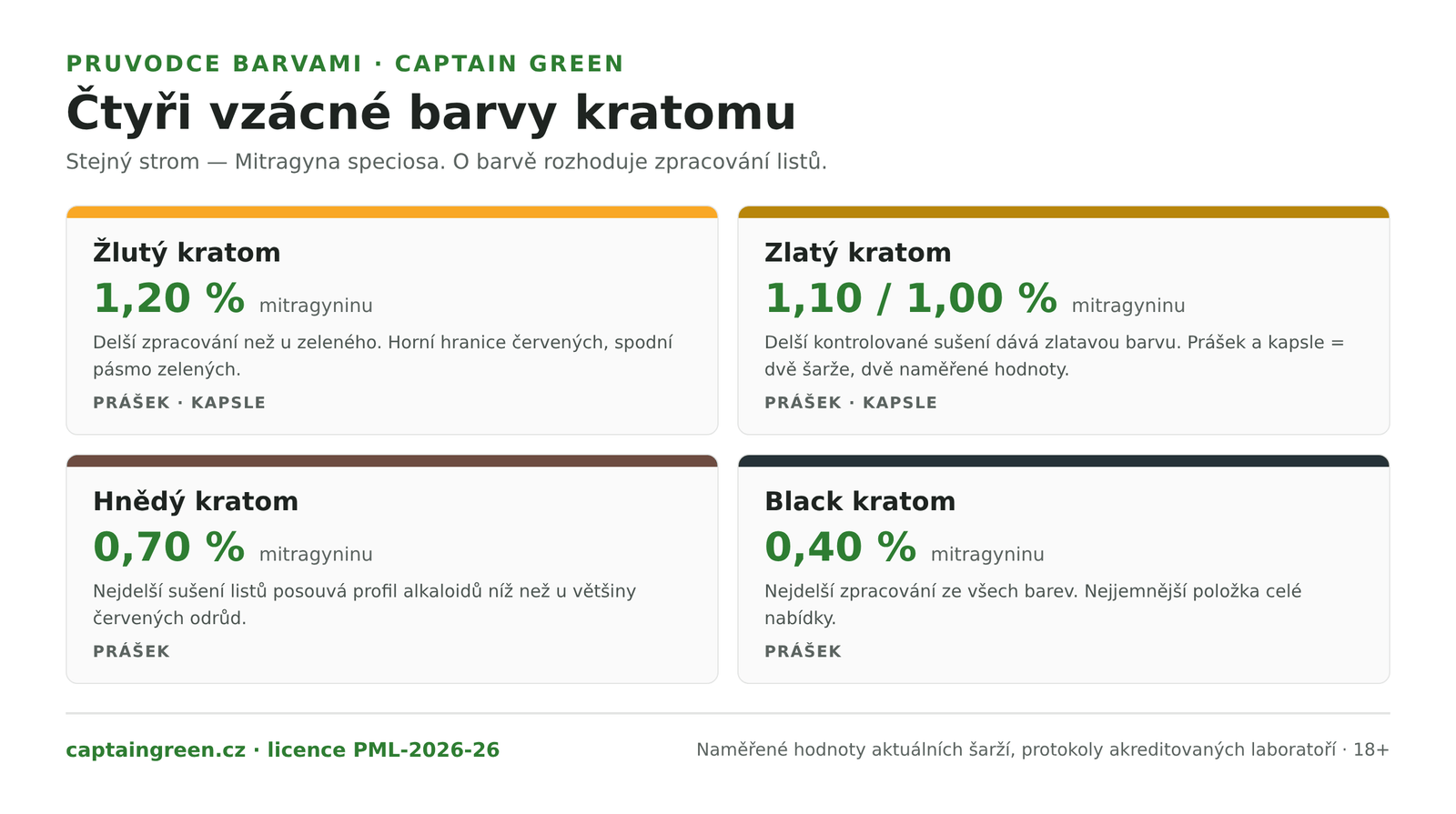 Infografika Čtyři vzácné barvy kratomu a jak vznikají — žlutý kratom 1,20 %, zlatý kratom 1,10 %, hnědý kratom 0,70 % a black kratom 0,40 % mitragyninu, všechny z listů Mitragyna speciosa s odlišnou délkou sušení
